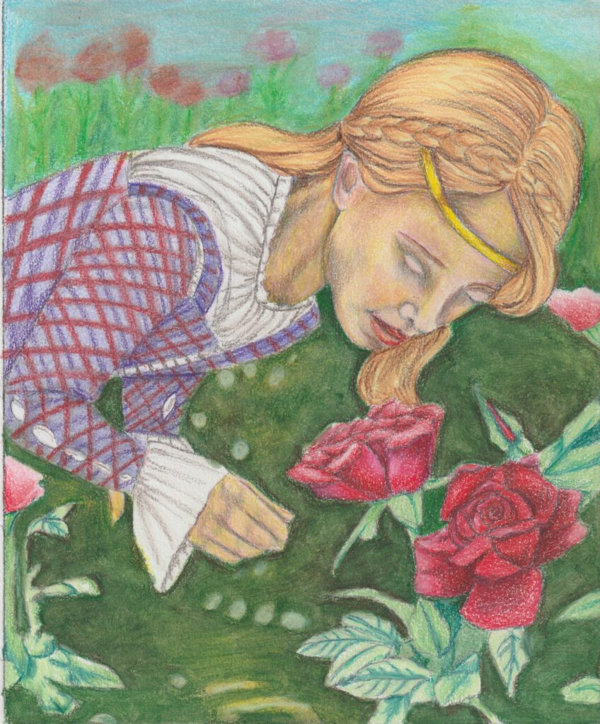Janet pulled a double rose illustration by Helena Domenic